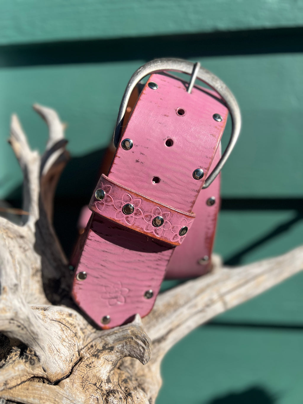 Musk Stud Hippi