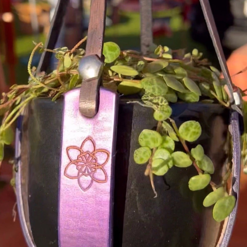 Daffi Potti Plant Hangers