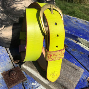 NEON  'Funki' Belt - Choose your colour