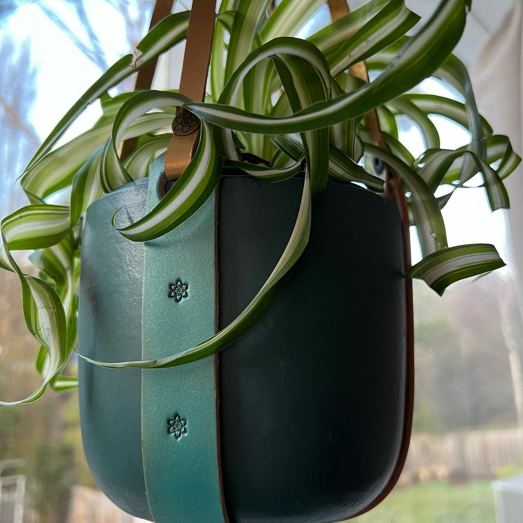 Daffi Potti Plant Hangers