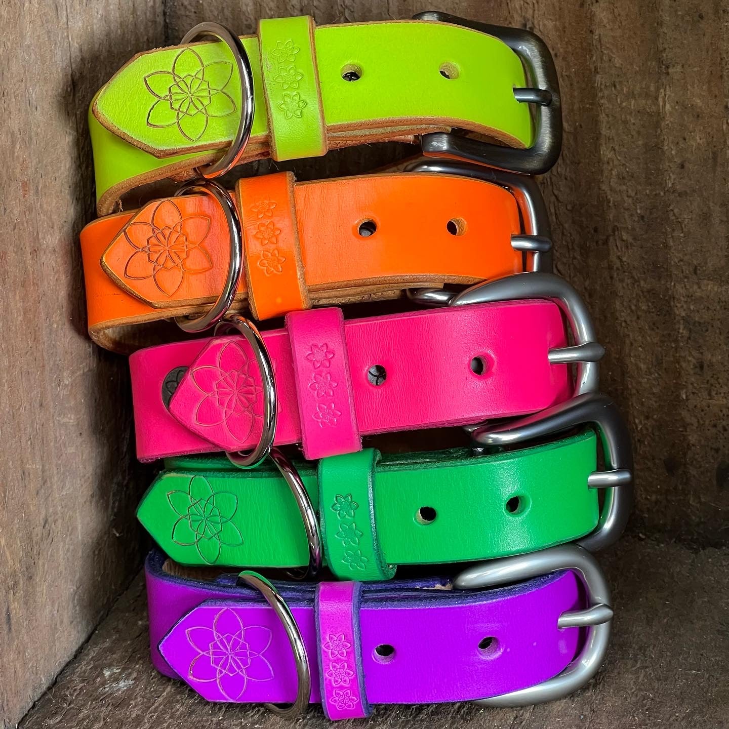 DOGGI Collars