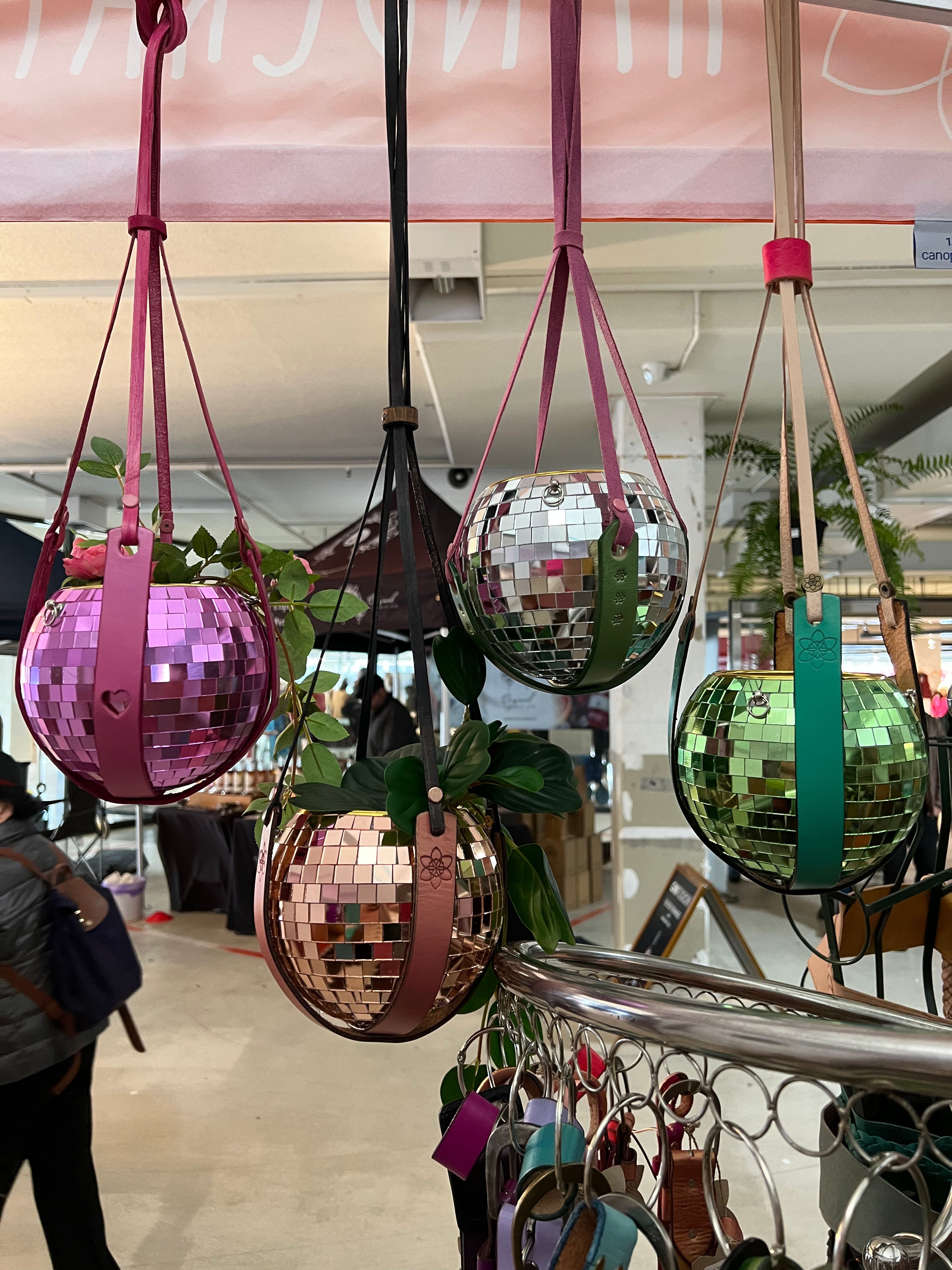 Daffi Potti Plant Hangers