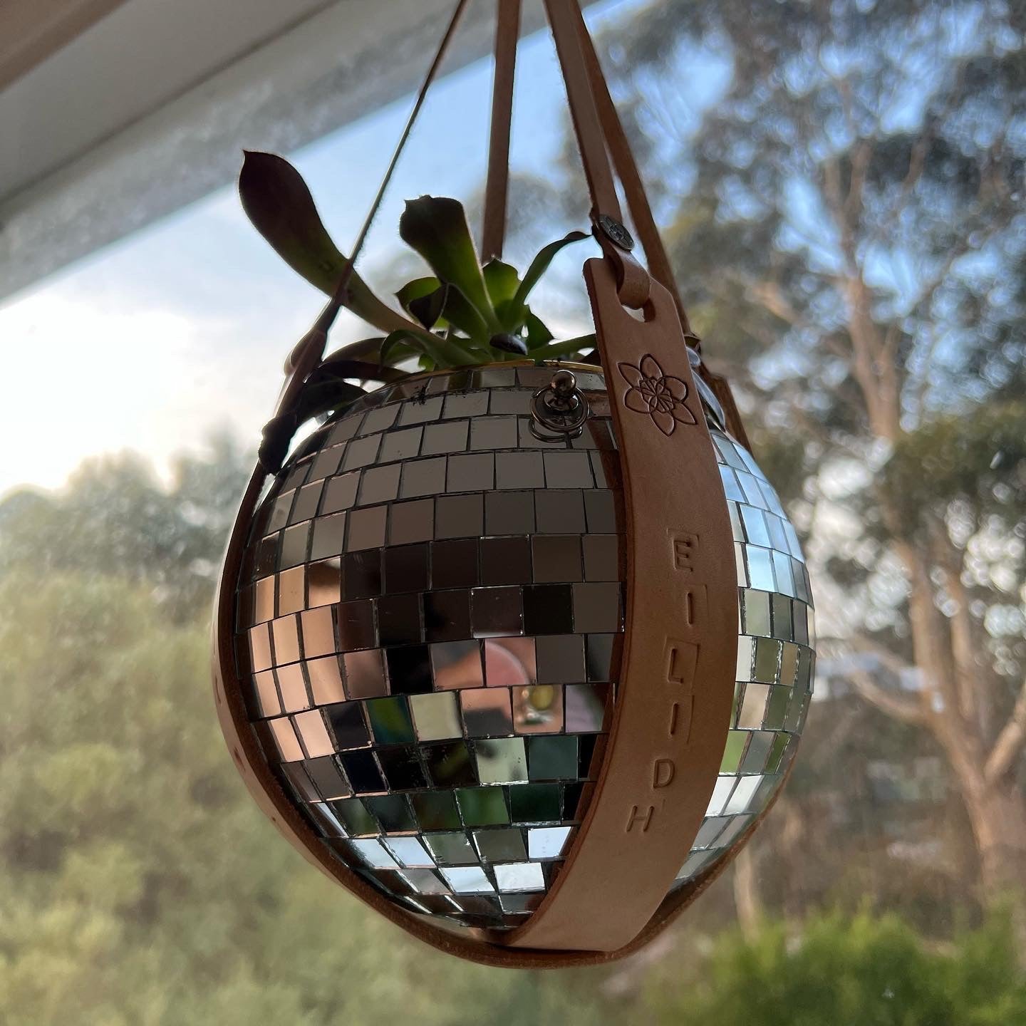 Daffi Potti Plant Hangers