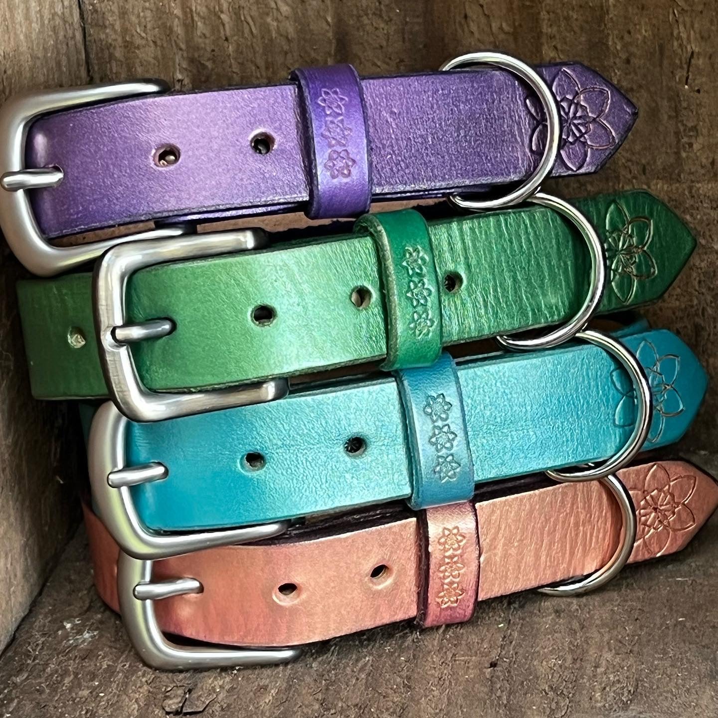 DOGGI Collars