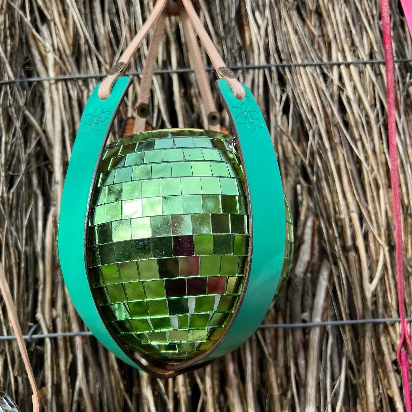 Daffi Potti Plant Hangers