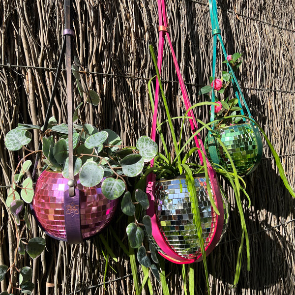 Daffi Potti Plant Hangers