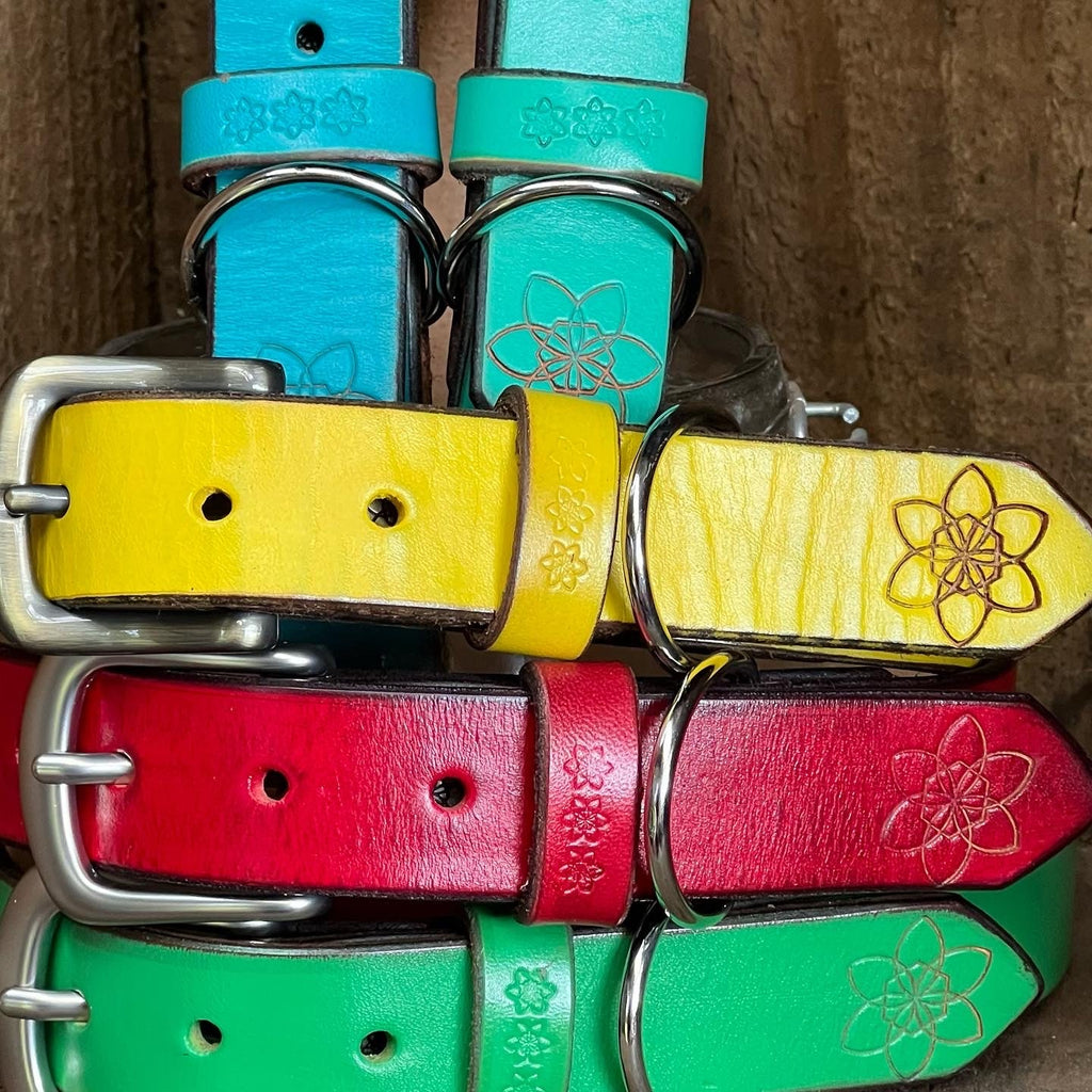 DOGGI Leashes