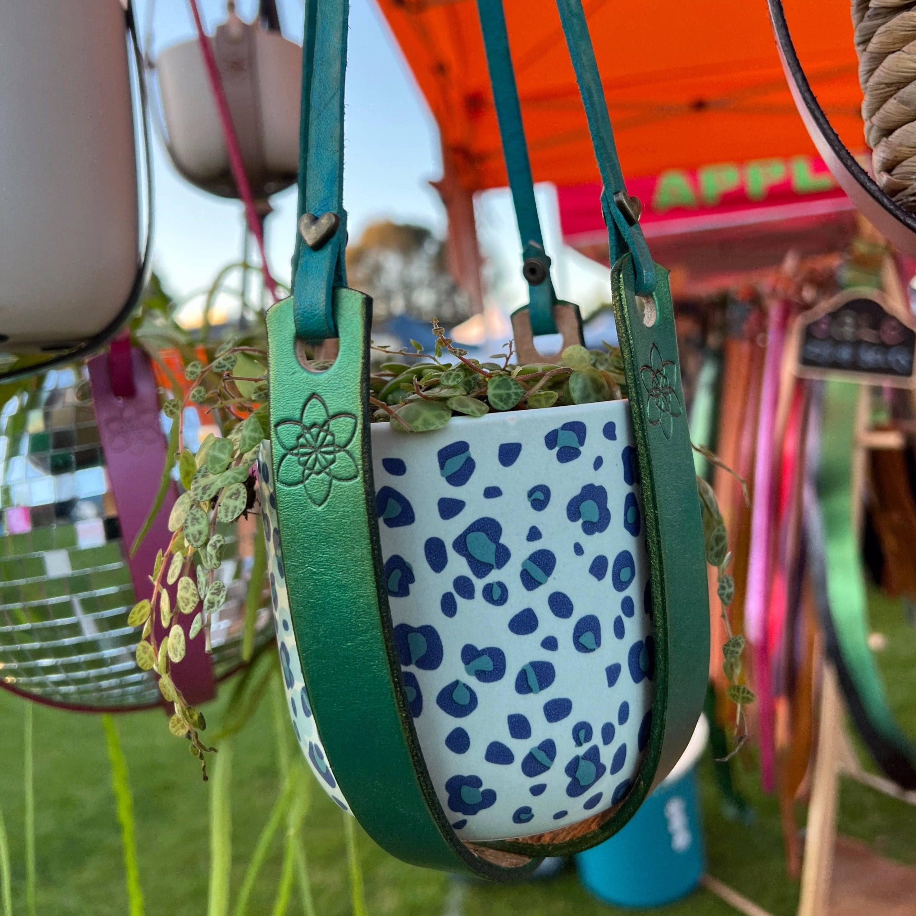 Daffi Potti Plant Hangers